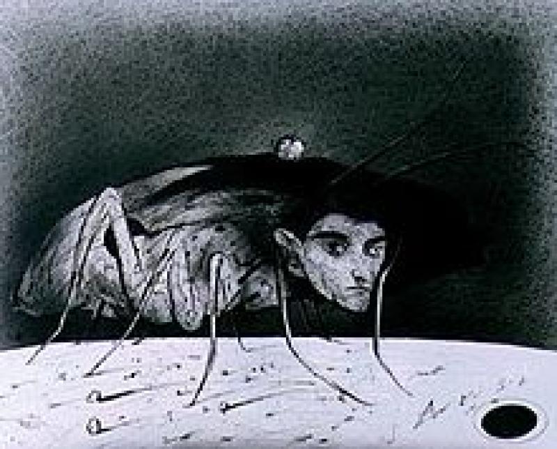 A picture of a beetle with Kafka's face on its head