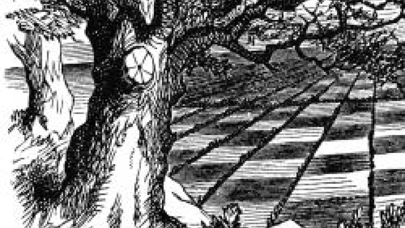 Detail of a line-drawn illustration from Lewis Carroll's Through the Looking Glass, a large old tree in the foreground with a checkerboard landscape behind
