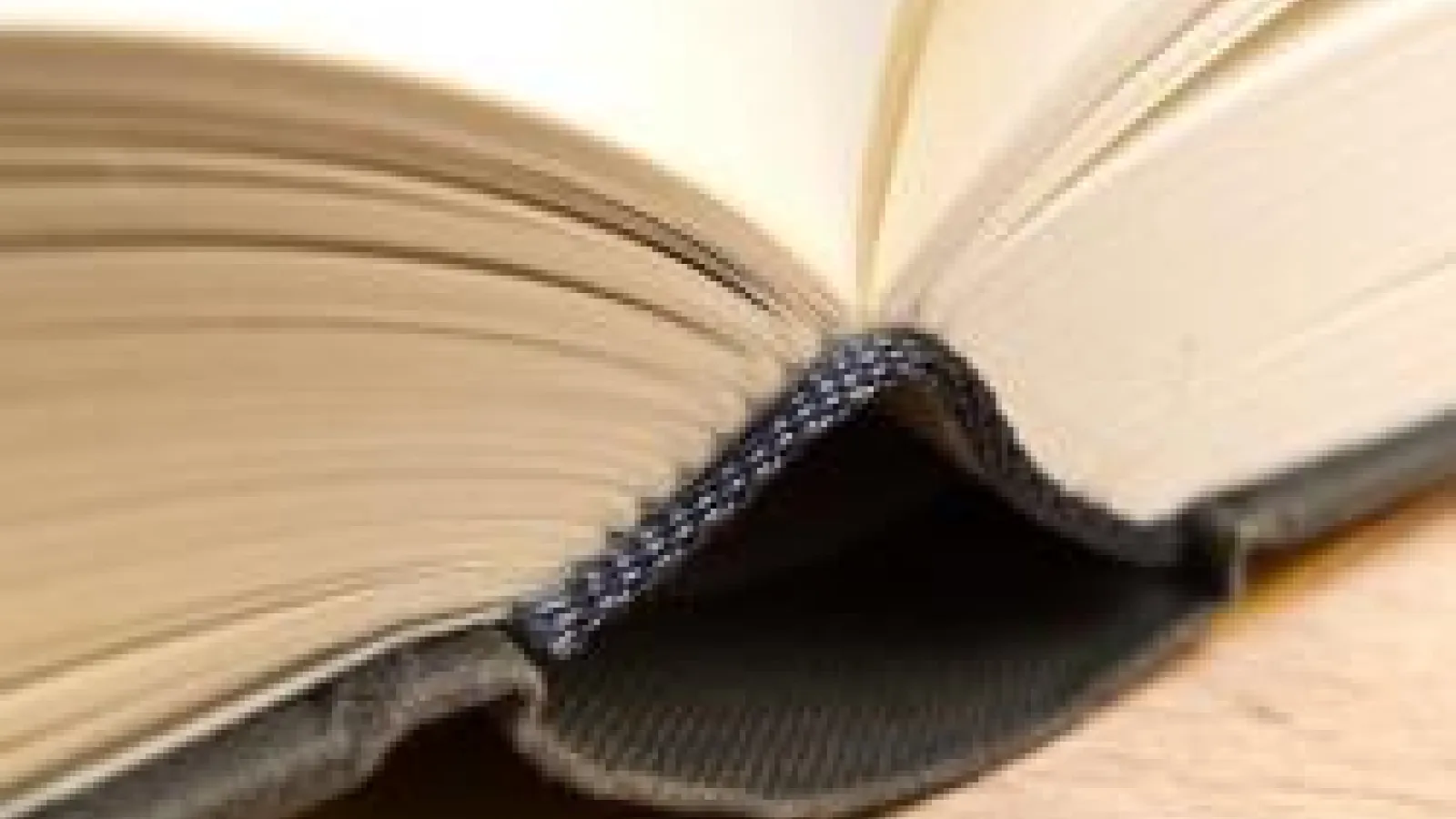Close-up on an open book, showing the bottom of the spine and the hinged pages