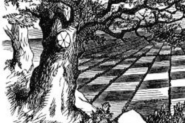 Detail of a line-drawn illustration from Lewis Carroll's Through the Looking Glass, a large old tree in the foreground with a checkerboard landscape behind