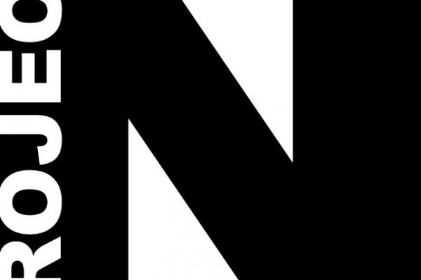 The Project Narrative logo, a block letter N with the word "Project" in block letters superimposed on one leg